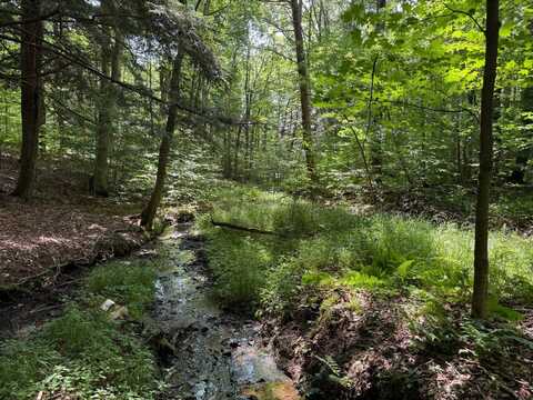 00 Red Mill Road, Mount Jewett, PA 16740