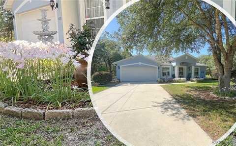 1923 W McNeal Drive, Citrus Springs, FL 34434