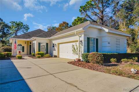 20 Deerwood Drive, Homosassa, FL 34446