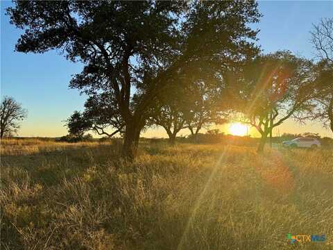 Lot 30 Buck Run Rd., San Saba, TX 76877