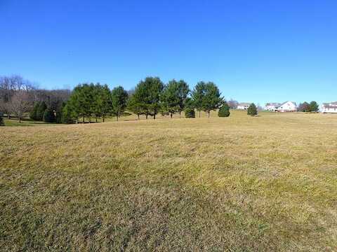 Tbd Richmond Ave, Rural Retreat, VA 24368