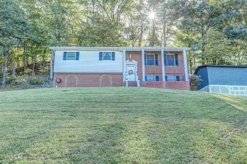 920 South Sherbrooke Drive, Mount Carmel, TN 37645