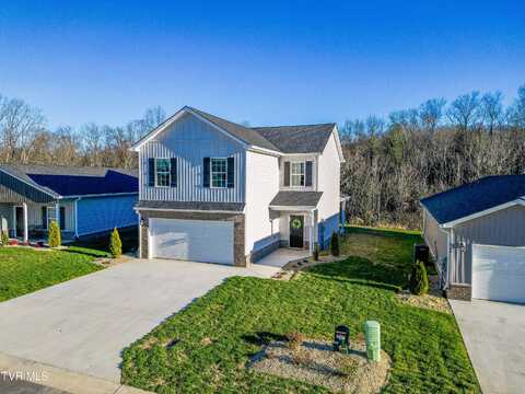 77 Scout Branch, Gray, TN 37615