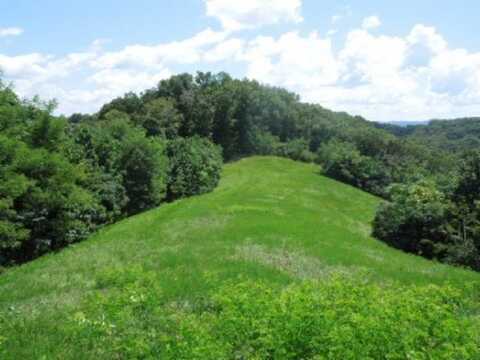 Lot 65AA Turtle Rd, Hilham, TN 38568