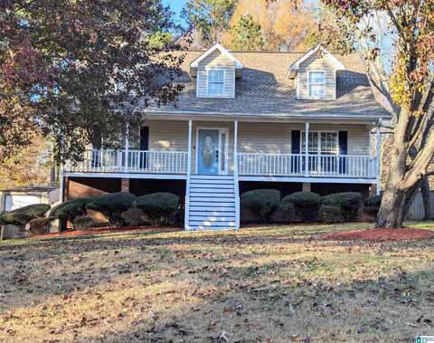 21394 BRENDA DRIVE, LAKE VIEW, AL 35111