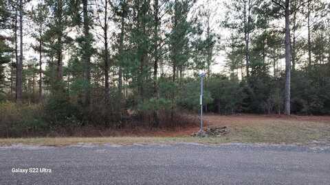 Lot 48 HARBOR RD, Andalusia, AL 36421