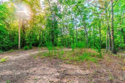 1.77 Mount Carmel Trail, Morganton, GA 30560