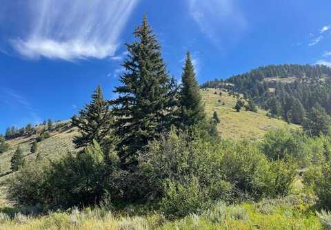 15165 Bear Ridge Rd, Jackson, WY 83001