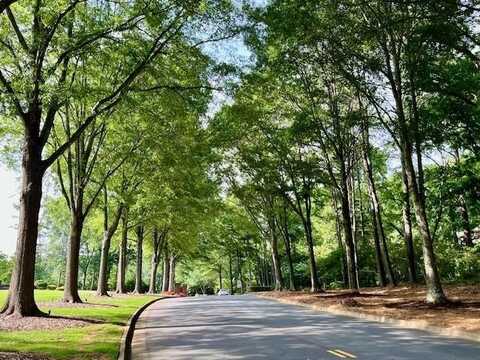 0 Chaffin Road, Roswell, GA 30075