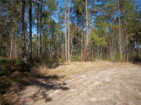 3176 Tie Island Road, Waycross, GA 31503