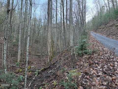 Lot 5 High Ridge Way, Sevierville, TN 37862