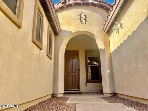 1724 W MACAW Drive, Chandler, AZ 85286