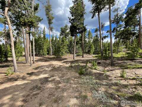 1482 Shoshoni Dr, Red Feather Lakes, CO 80545