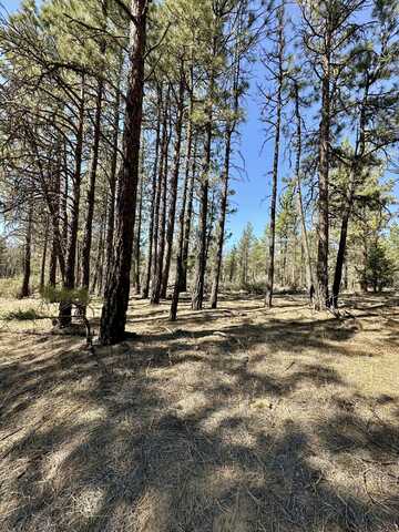Wampum Lane, Chiloquin, OR 97624