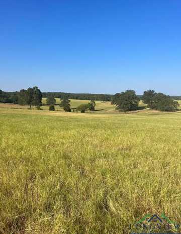 Tbd CR 3812 (Tract 8), Troup, TX 75789