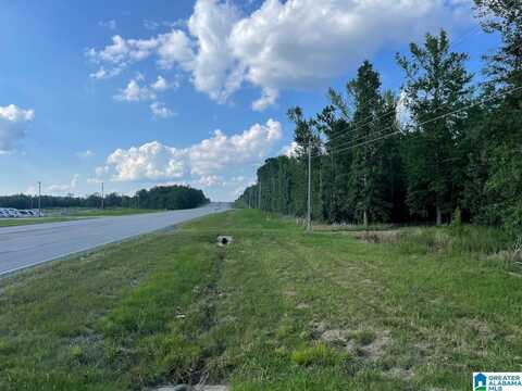6358 STATE HIGHWAY 129, WINFIELD, AL 35594