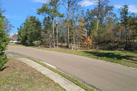 Wind Dance Drive, Lot 25, Madison, MS 39110