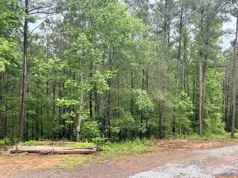 Scenic, GADSDEN, AL 35904