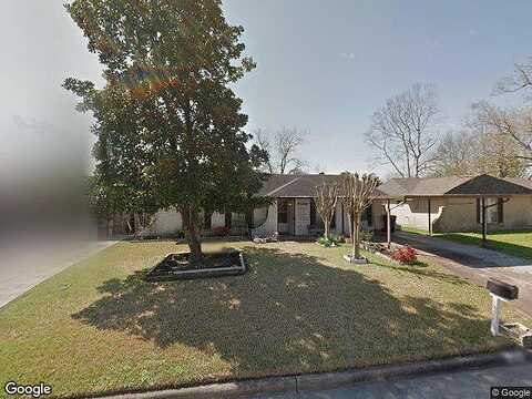 Cicada, HOUSTON, TX 77039