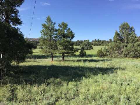 Lot 44 Sunflower Drive, Ramah, NM 87321