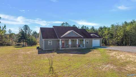 1201 County Road 818, Bryant, AL 35958