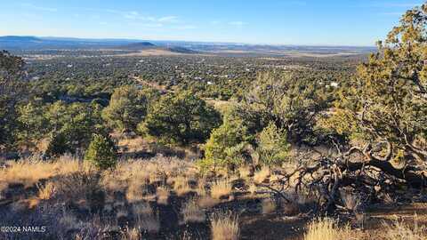 Parcel # 20202016r, Williams, AZ 86046