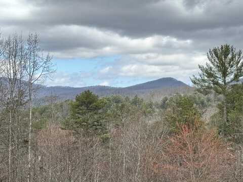 220 Mountain High Drive, Mineral Bluff, GA 30559
