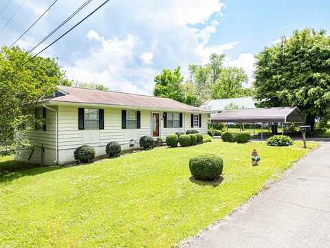 101 River Street, Blue Ridge, GA 30513
