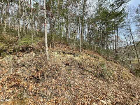 Lot 37r Sugar Mtn Way, Pigeon Forge, TN 37863