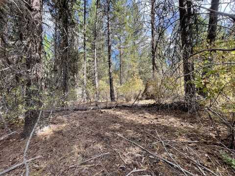 2X LILLOOET DR, INCHELIUM, WA 99138