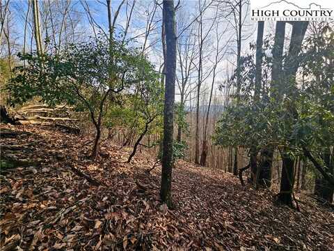 Lot 111 Sunset View Dr, Grassy Creek, NC 28631