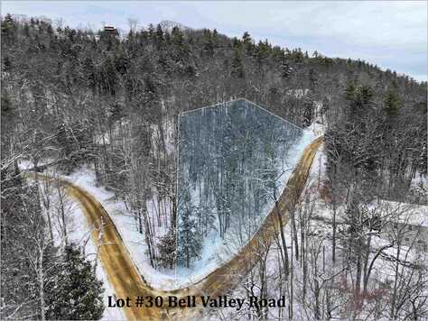 Lot 30 Bell Valley Road, Campton, NH 03223