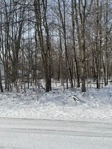 Lot 171 Englewood Drive, Roscommon, MI 48653