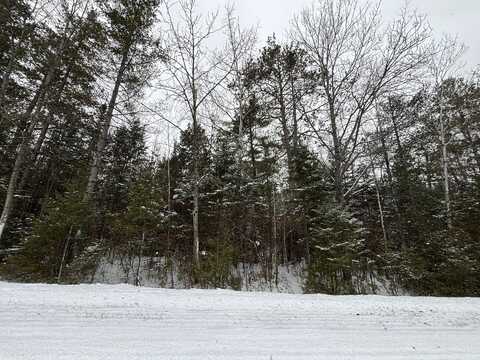 Northland Heights Drive, Presque Isle, MI 49777