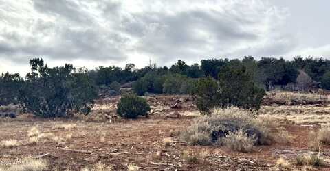 7651 BAR DITCH Road, Show Low, AZ 85901