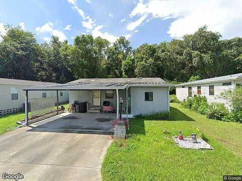 Begonia, ZEPHYRHILLS, FL 33541