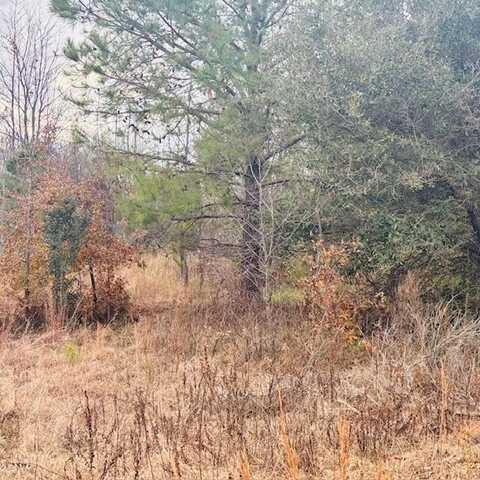 Tbd Woodward Dr, Couchton, SC 29801
