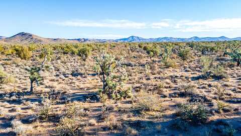 Bonanza Rd, Yucca, AZ 86438