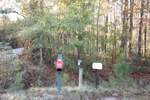 Tbd Preschool Road, Ridgeland, SC 29936