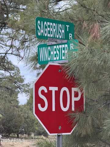 3512 WINCHESTER Road, Overgaard, AZ 85933