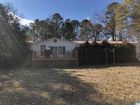 3955 RIVER RANCH ROAD, RAGLAND, AL 35131