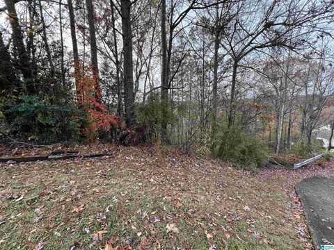 329 DELCRIS COURT, BIRMINGHAM, AL 35226