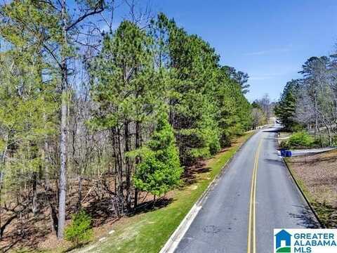 433 SAINT ANDREWS PARKWAY, ONEONTA, AL 35121