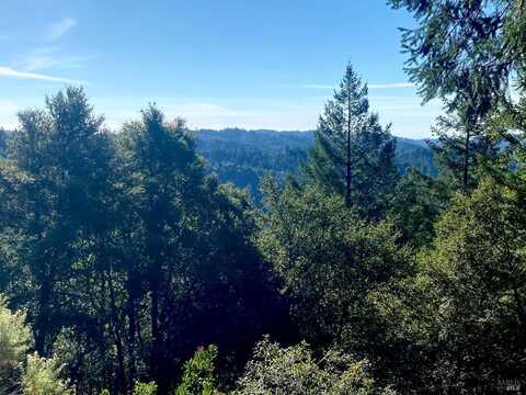 Elkhorn Ridge Road, Branscomb, CA 95417