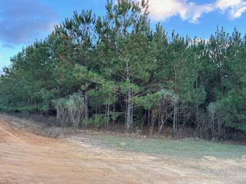 246 Pope Road, Pineview, GA 31071