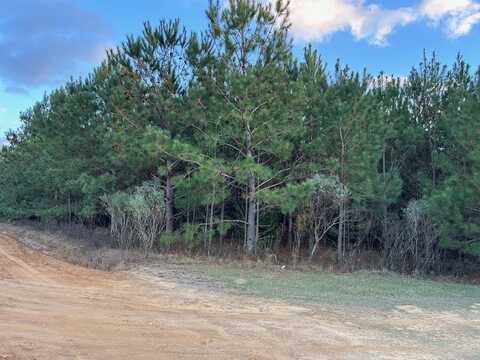 Tract C Pope Road, Hawkinsville, GA 31036