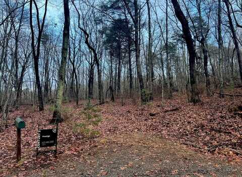 F06 Forester Overlook Road, Menlo, GA 30731