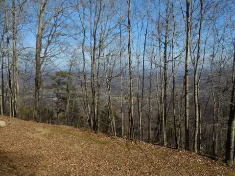 F06 Forester Overlook Road, Menlo, GA 30731