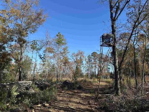 25+/- Acres TBD Corner Rd., New Zion, SC 29111