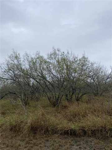 212 CR 2101, Alice, TX 78332